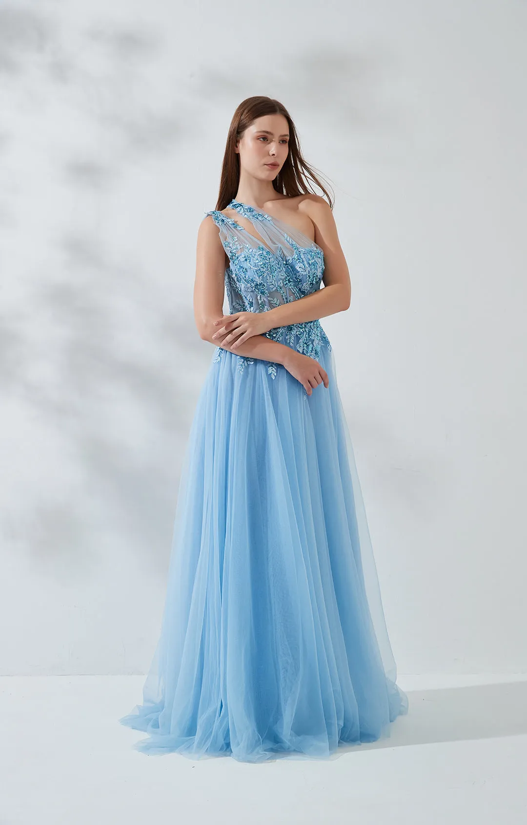 A-line One Shoulder Mesh Appliqued Tulle Prom Dress