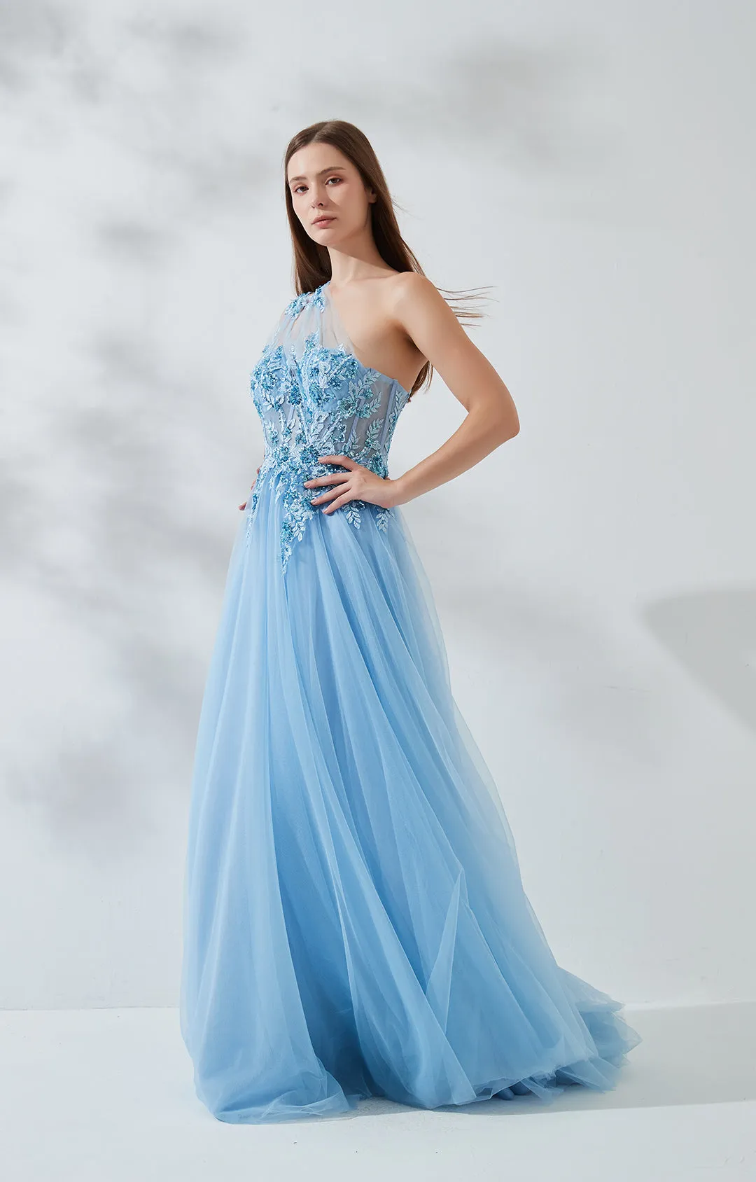 A-line One Shoulder Mesh Appliqued Tulle Prom Dress