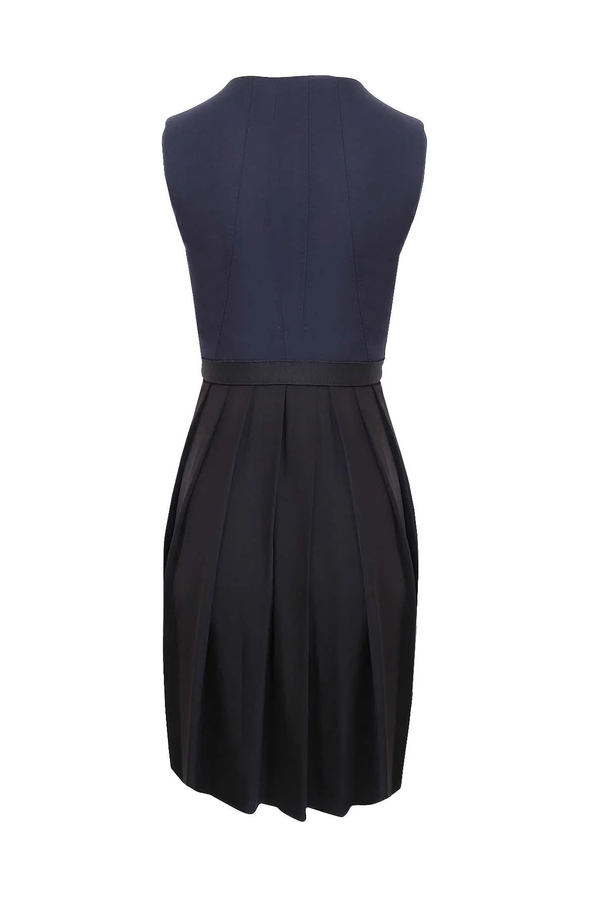 Black & Navy Sleeveless Pleated Dress