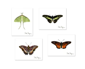 Butterfly Boxed Assortment