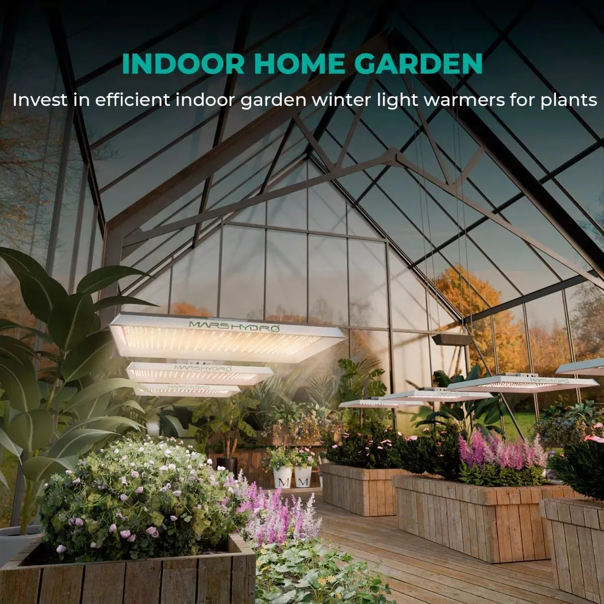 Full Spectrum LED Grow Lights for Indoor Plants, Energy Efficient