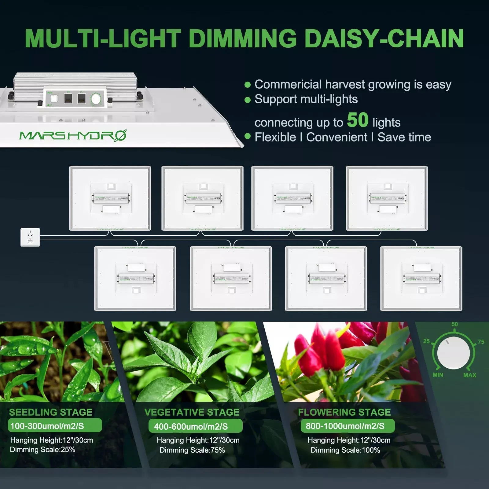 Full Spectrum LED Grow Lights for Indoor Plants, Energy Efficient