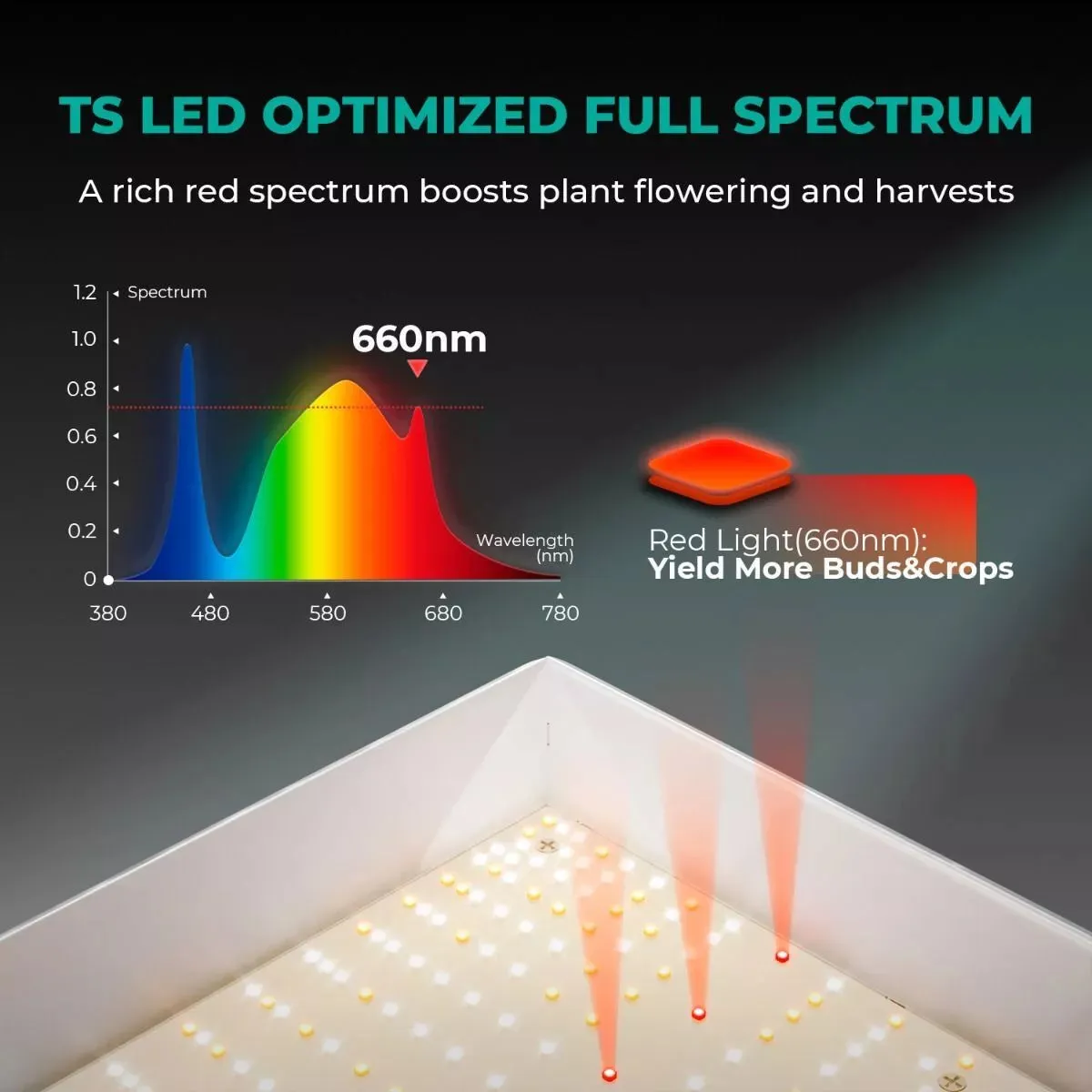 Full Spectrum LED Grow Lights for Indoor Plants, Energy Efficient