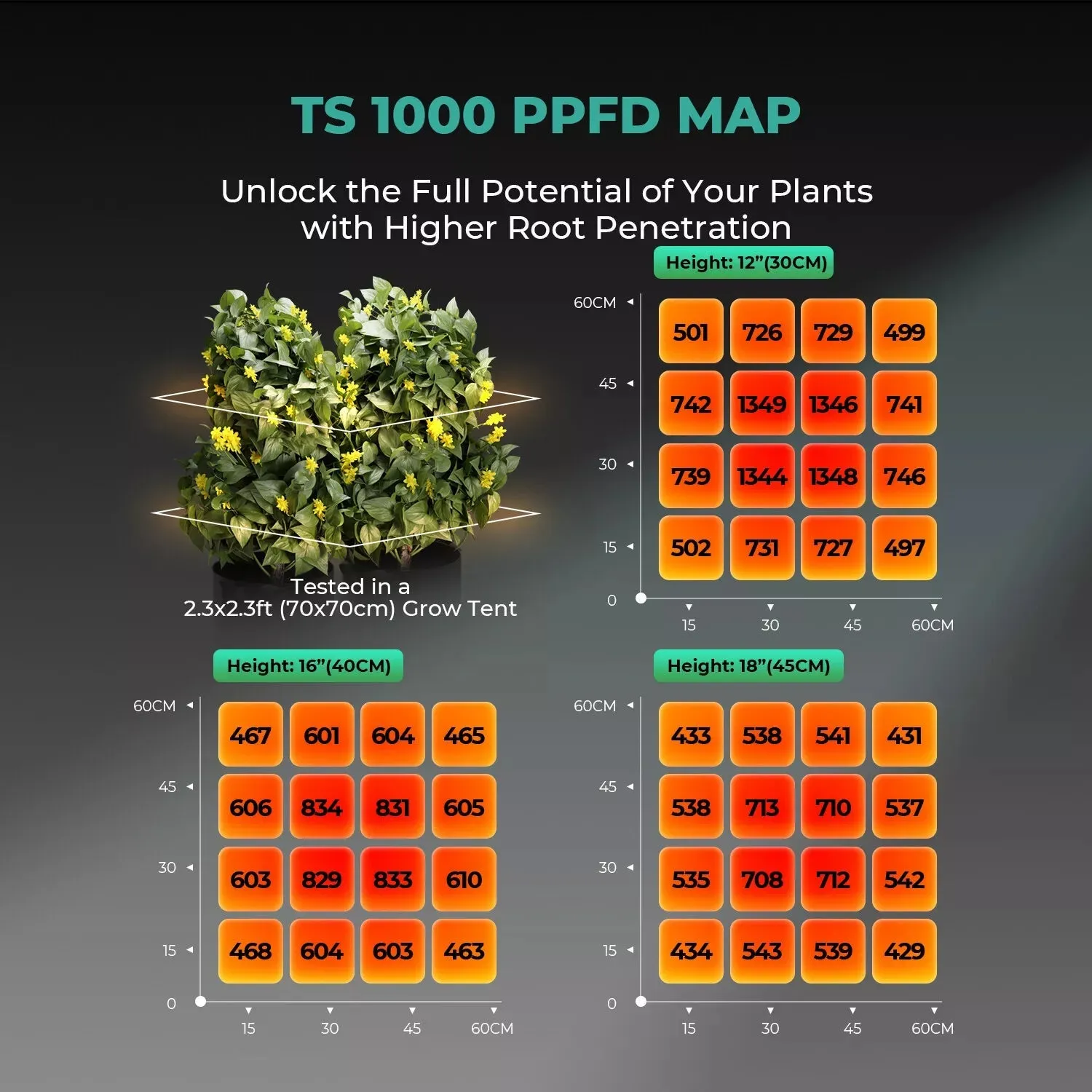 Full Spectrum LED Grow Lights for Indoor Plants, Energy Efficient