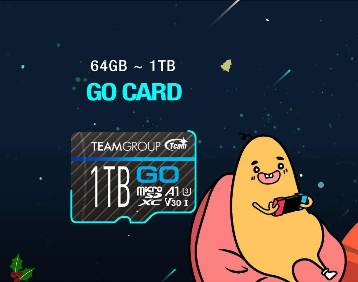 TEAMGROUP GO Card 128GB 10 Pack Micro SDXC UHS-I U3 V30 4K for GoPro & Drone & Action Cameras High Speed Flash Memory Card with Adapter for Outdoor Sports, 4K Shooting, Nintendo-Switch TGUSDX128GU366